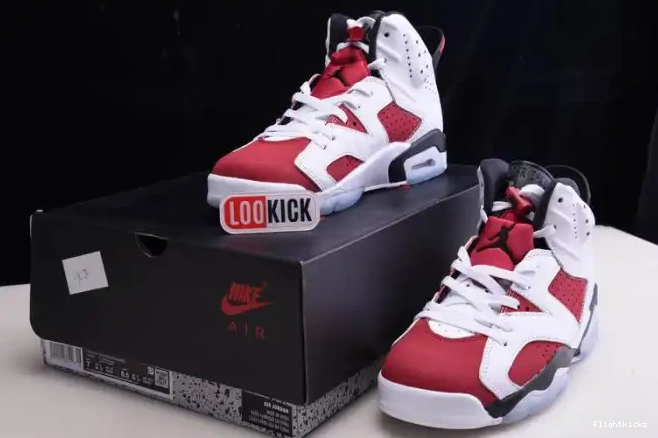 'CARMINE' JORDAN AIR RETRO 6 CT8529-106 2021 0630